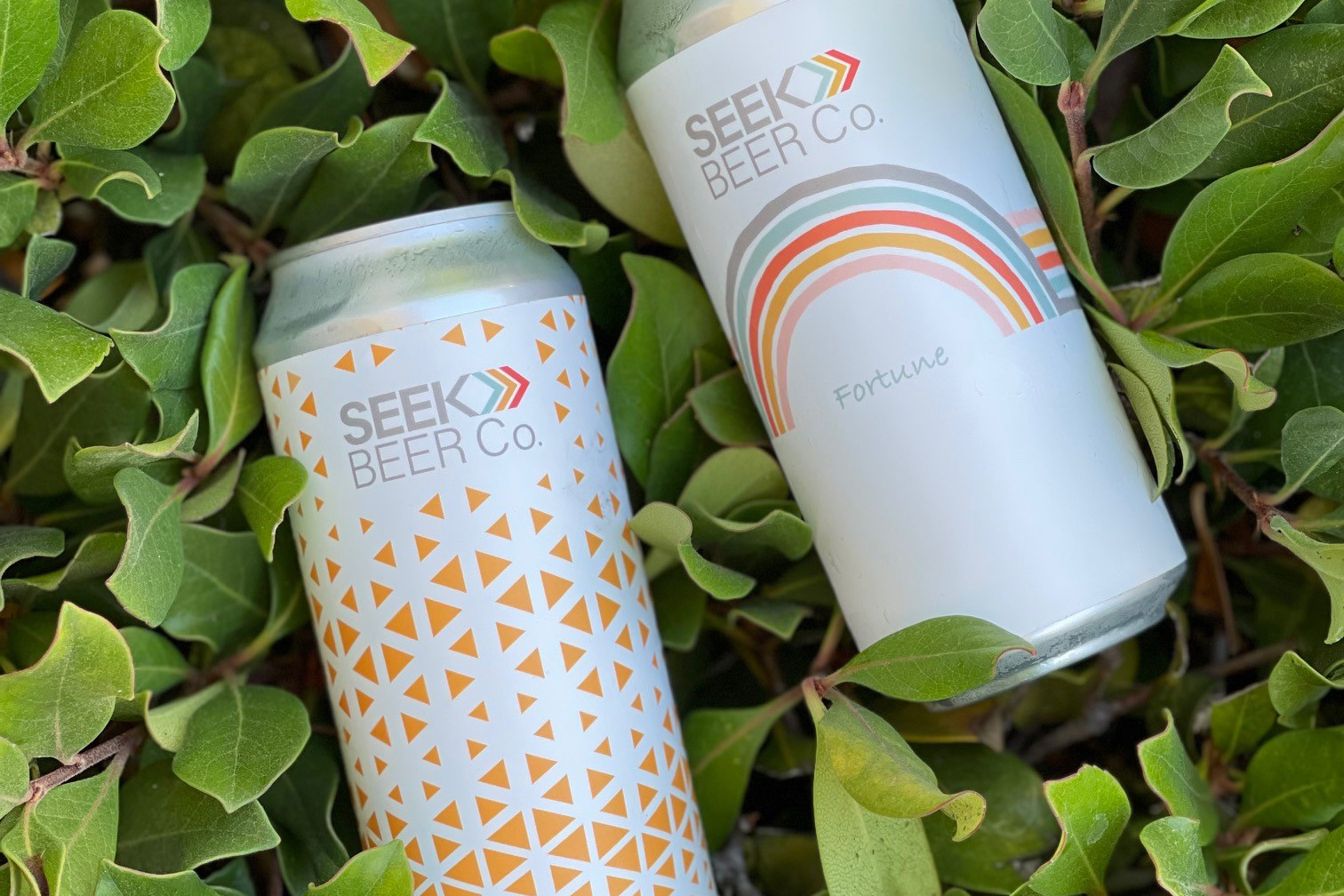 Seek Beer Co. cans.